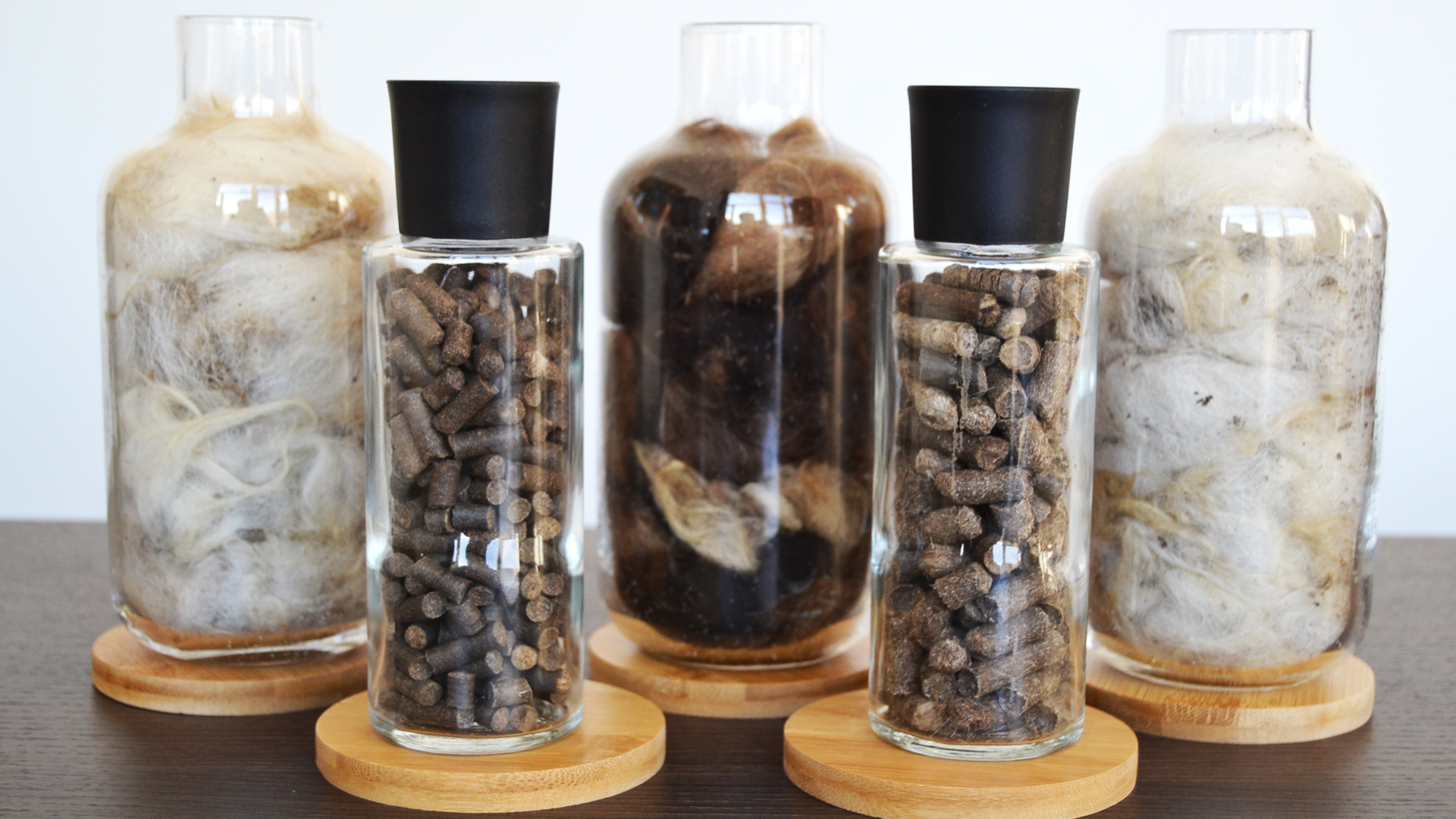 Evolution of fertilizers will start from Mongolia